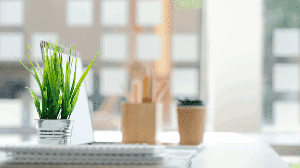 wirtualna asystentka poznań